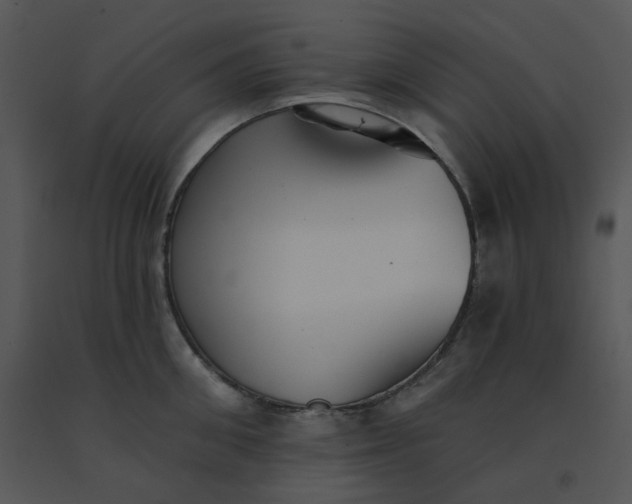 X0000091510906200708311224