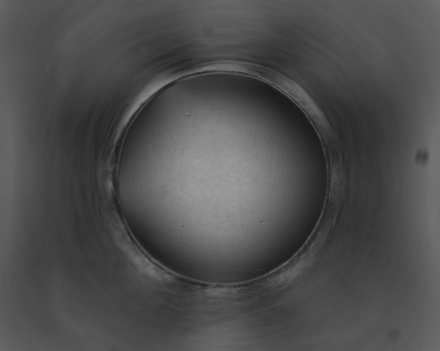 X0000091510908200708311224