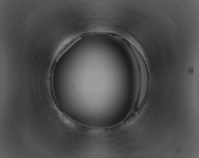 X0000091510909200708311224