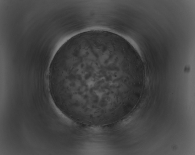 X0000091510911200708311224