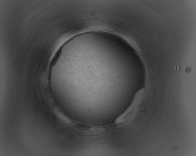 X0000091510912200708311224