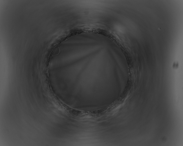 X0000091510913200708311224