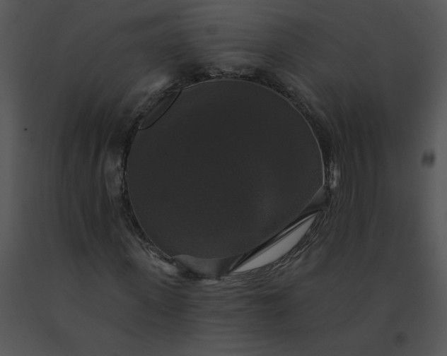 X0000091510915200708311224