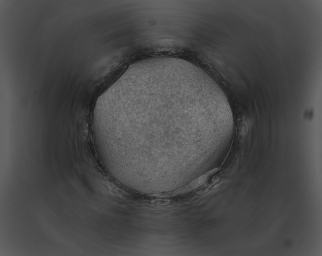 X0000091510916200708311224