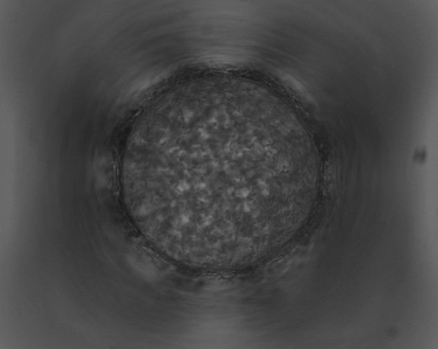 X0000091510917200708311224