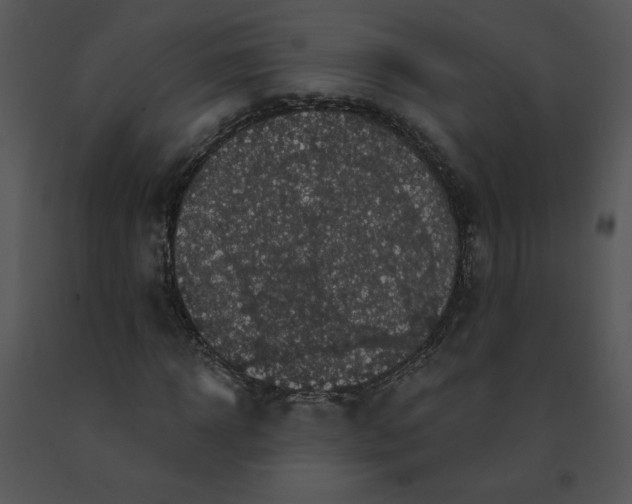 X0000091510918200708311224