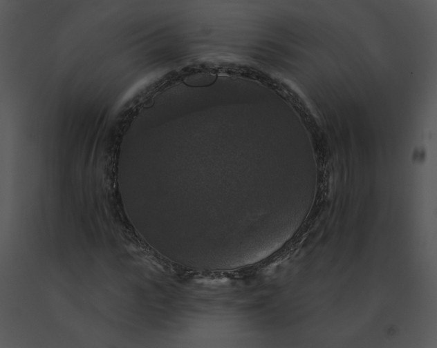 X0000091510919200708311224