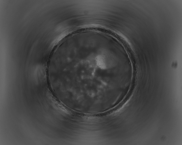 X0000091510921200708311224