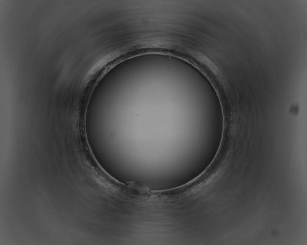 X0000091510922200708311224