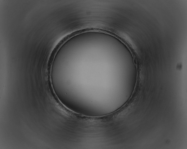 X0000091510924200708311224