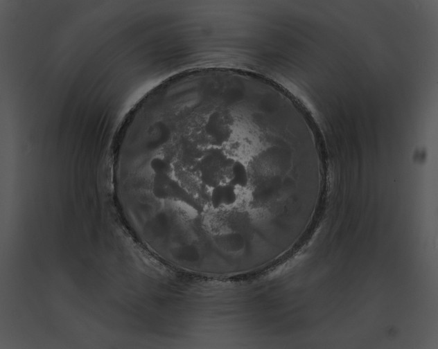 X0000091510925200708311224