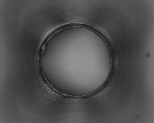 X0000091510926200708311224