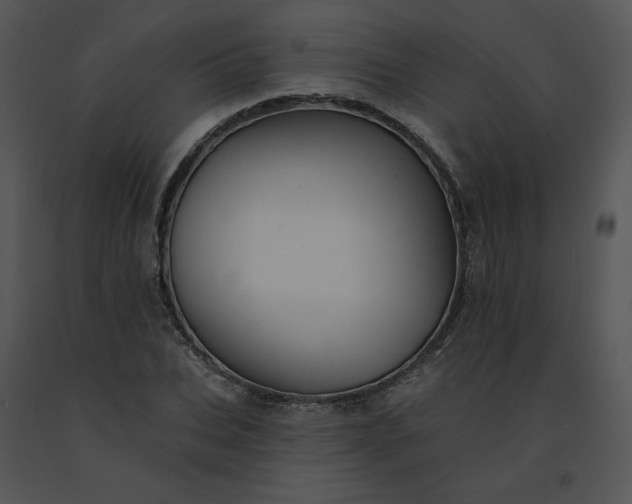 X0000091510927200708311224