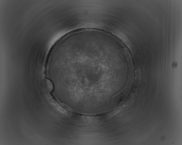 X0000091510928200708311224