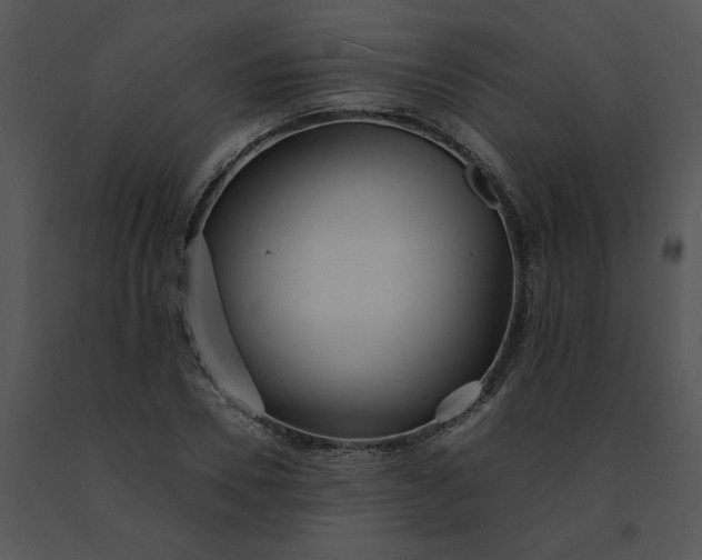 X0000091510930200708311224