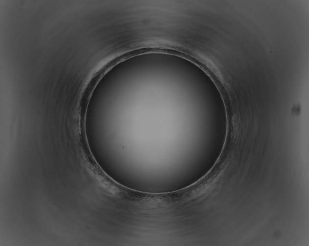 X0000091510931200708311224