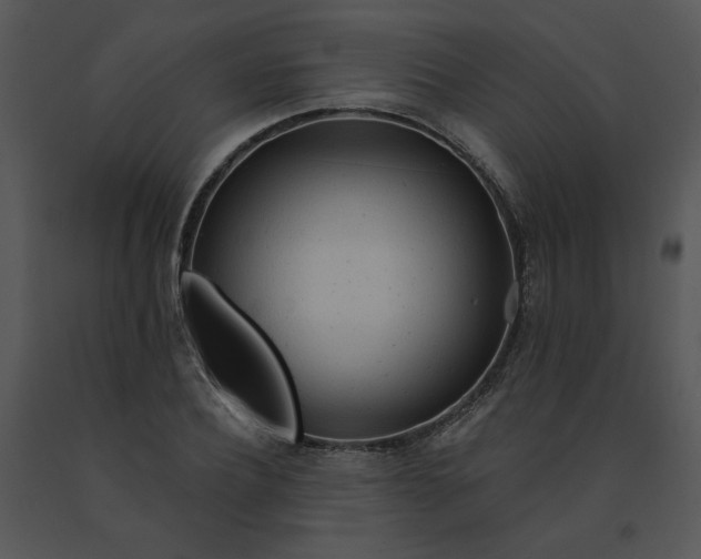 X0000091510932200708311224