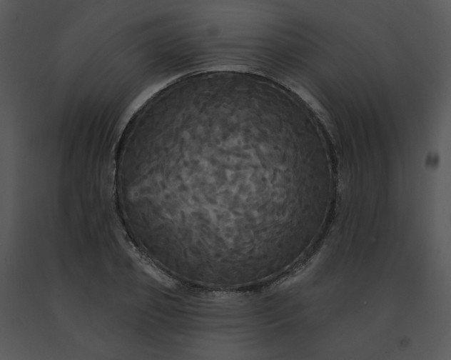 X0000091510933200708311224