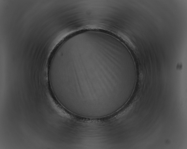 X0000091510934200708311224