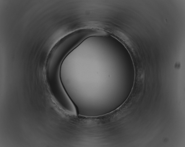 X0000091510936200708311224