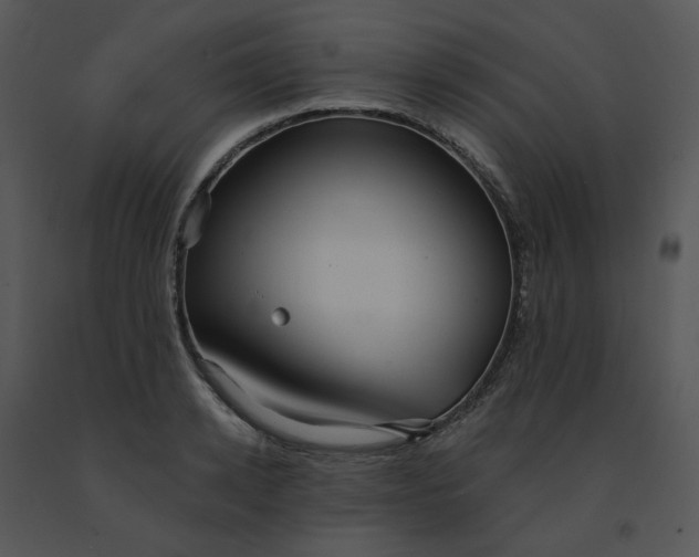 X0000091510942200708311224