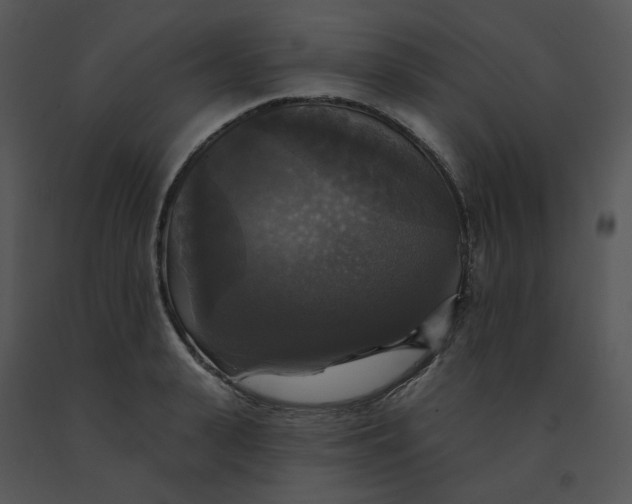 X0000091510943200708311224