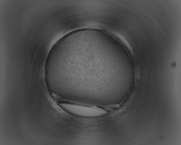 X0000091510944200708311224