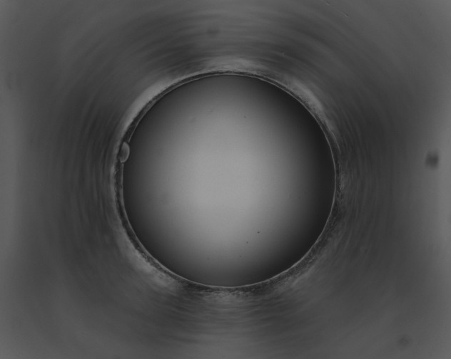 X0000091510947200708311224