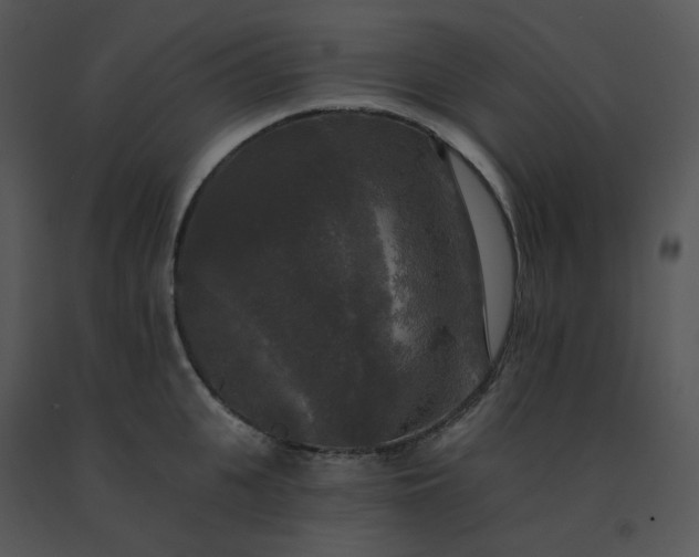 X0000091510951200708311224