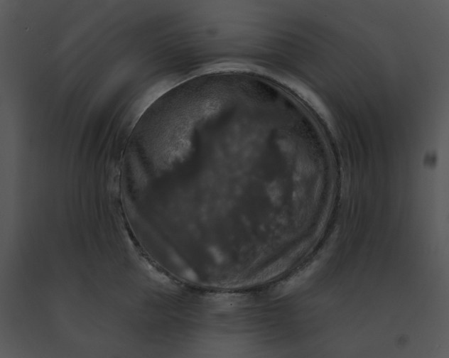 X0000091510953200708311224