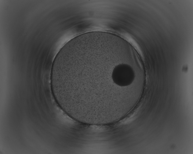 X0000091510954200708311224