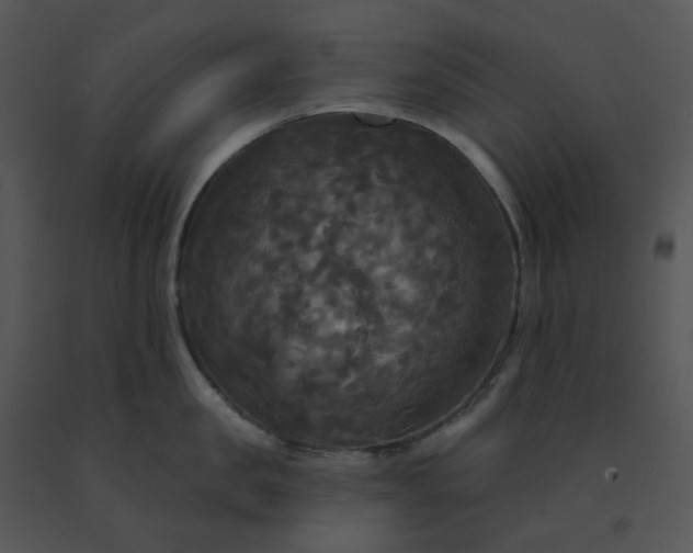 X0000091510957200708311224