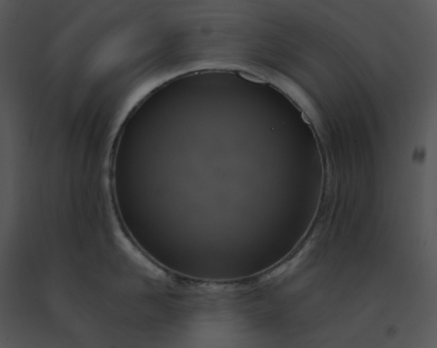 X0000091510958200708311224