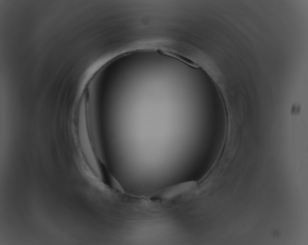 X0000091510960200708311224