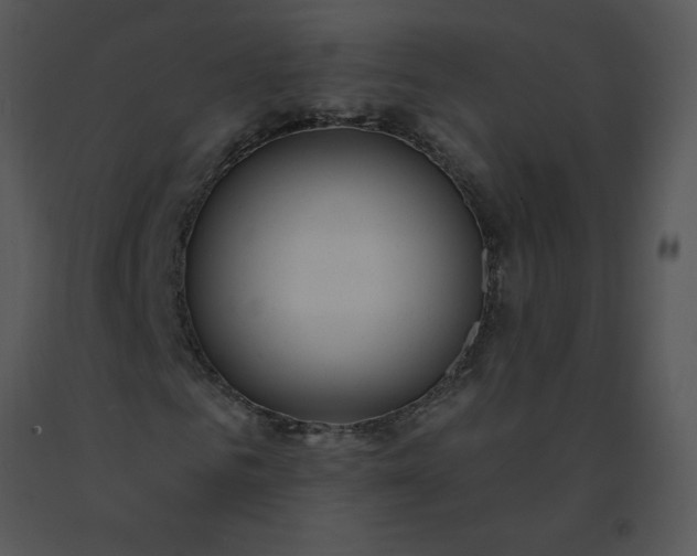 X0000091510961200708311224