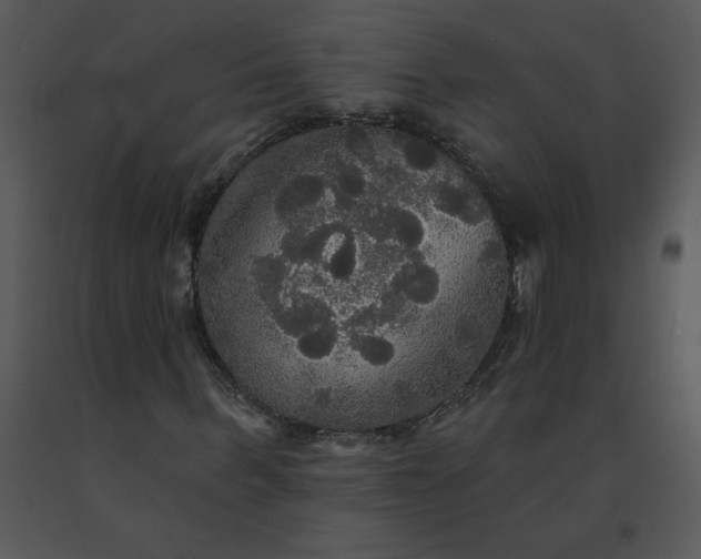 X0000091510963200708311224