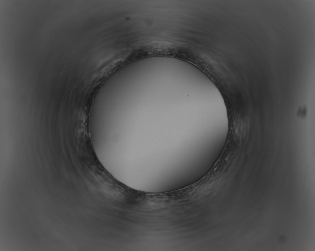 X0000091510964200708311224