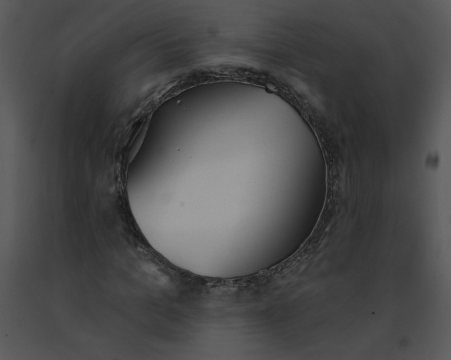 X0000091510965200708311224