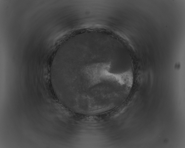 X0000091510966200708311224