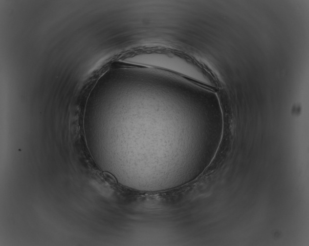 X0000091510968200708311224