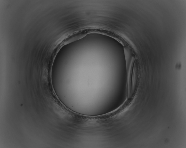 X0000091510969200708311224