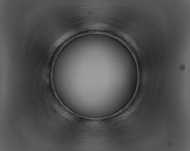 X0000091510970200708311224