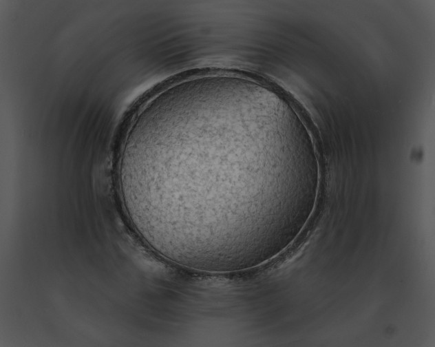 X0000091510971200708311224