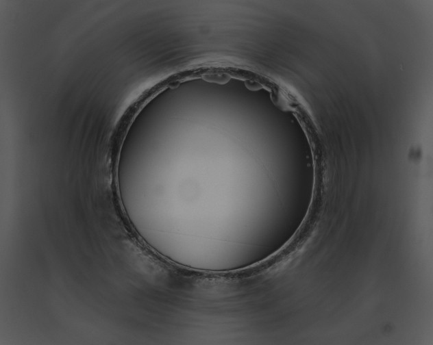 X0000091510973200708311224