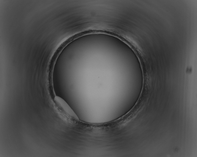 X0000091510976200708311223