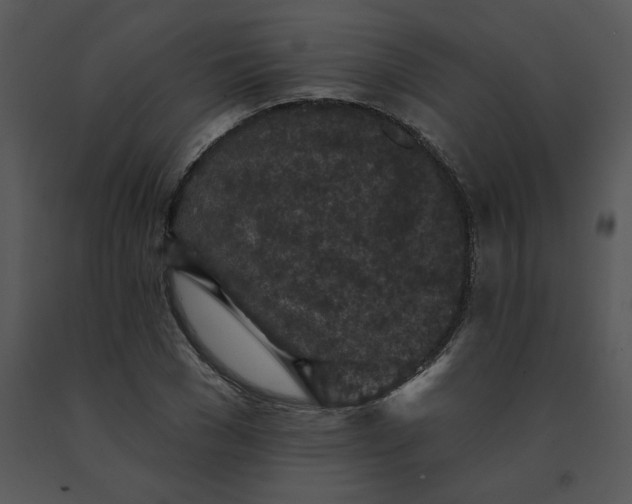 X0000091510977200708311223