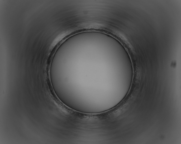 X0000091510978200708311223