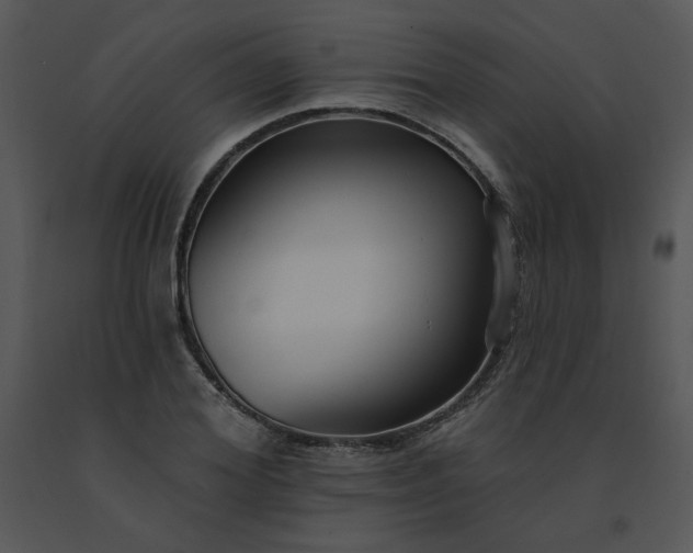 X0000091510980200708311223