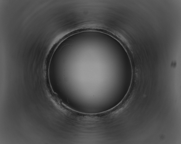 X0000091510981200708311223