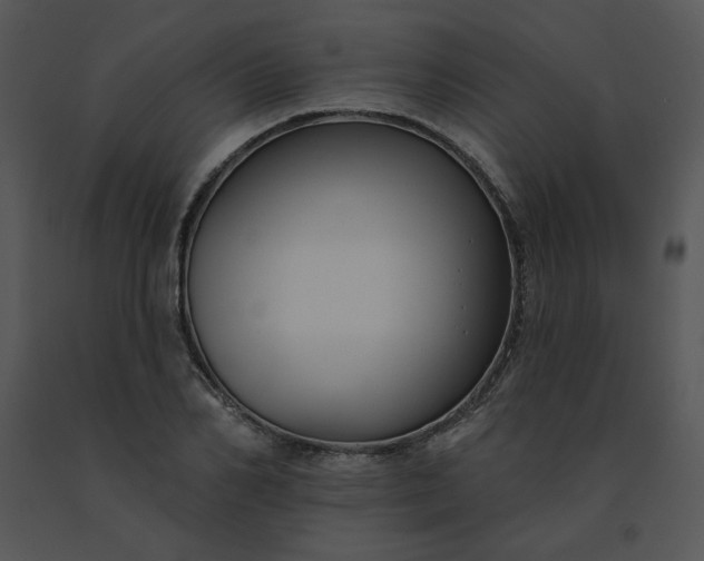 X0000091510982200708311223